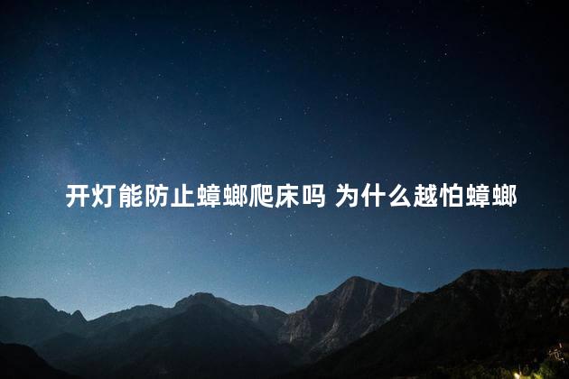 开灯能防止蟑螂爬床吗 为什么越怕蟑螂越往你身边来